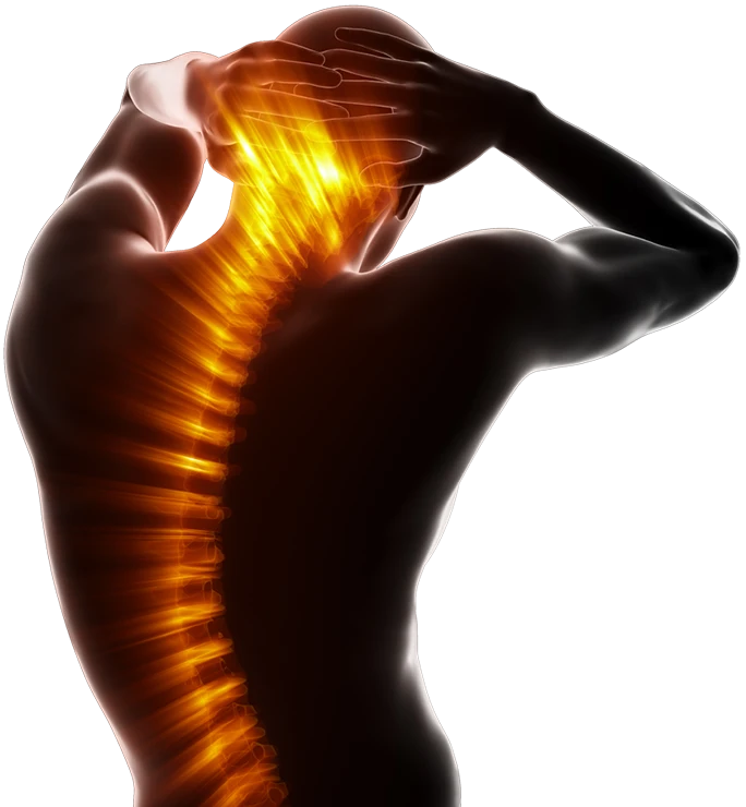 Chiropractic Anchorage AK Spine Pain Cutout
